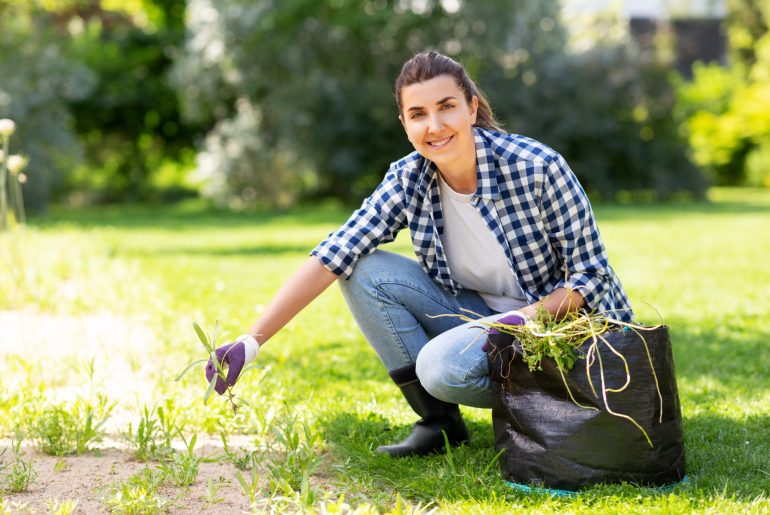 Bleach kill Weeds and Grass
