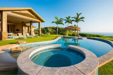 Ideal Backyard Areas to Plant Your Palms