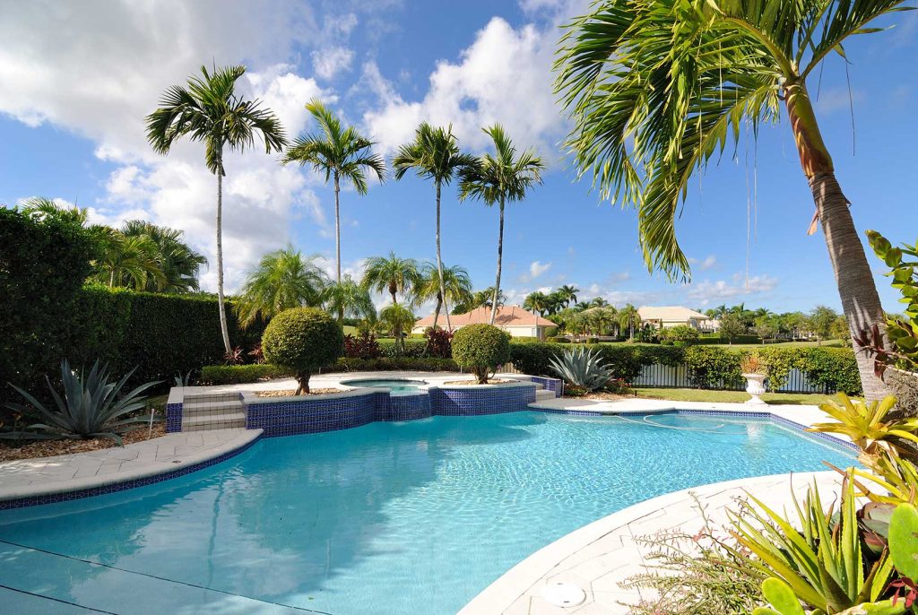Ideal Backyard Areas to Plant Your Palms