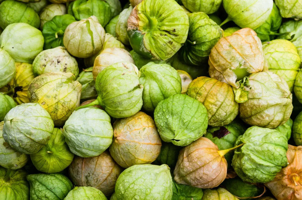 Types of Tomatillos
