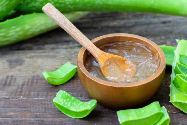Aloe vera and their benefits