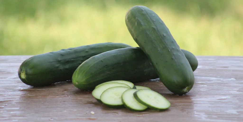 What Does Parthenocarpic Mean?