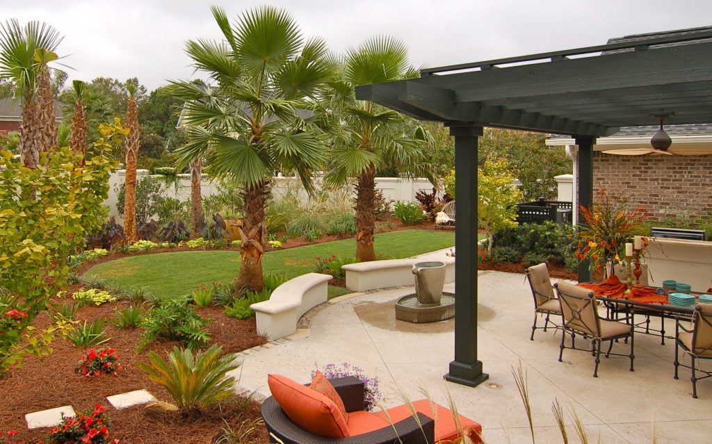 Ideal Backyard Areas to Plant Your Palms