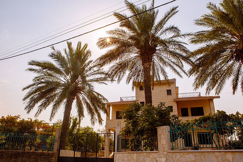 Plant Palms To Block Neighboring Houses