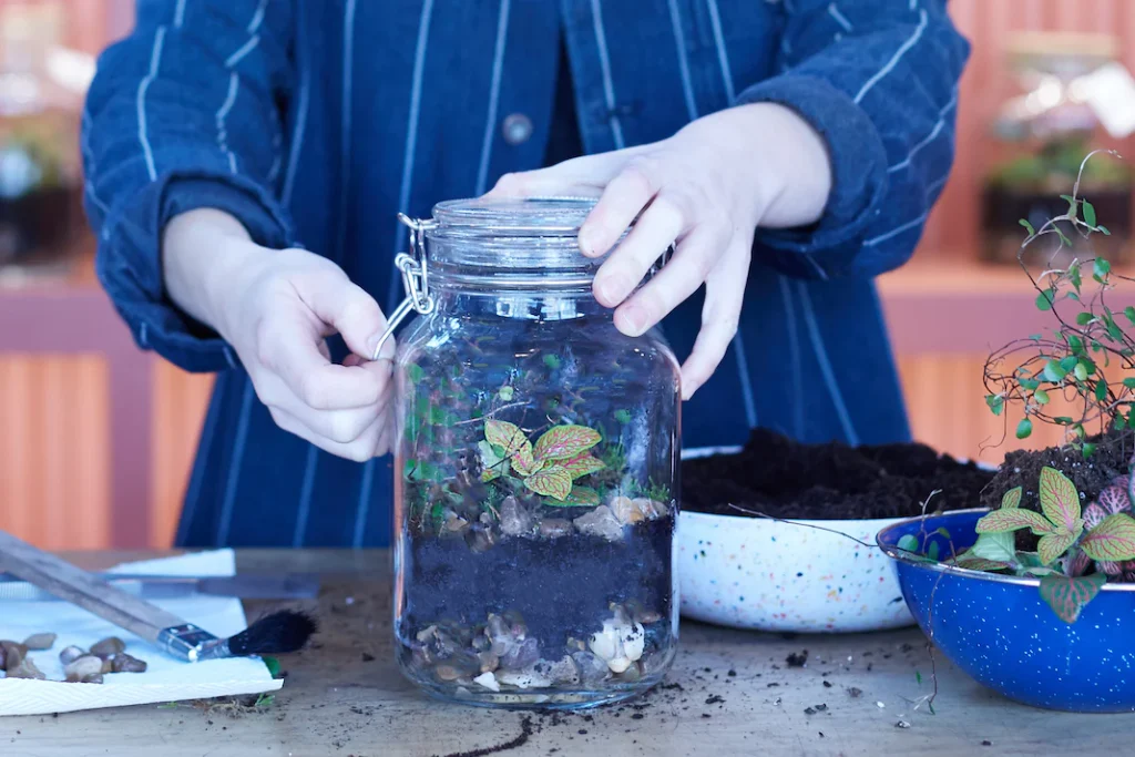 How to Clean Your Terrarium Container