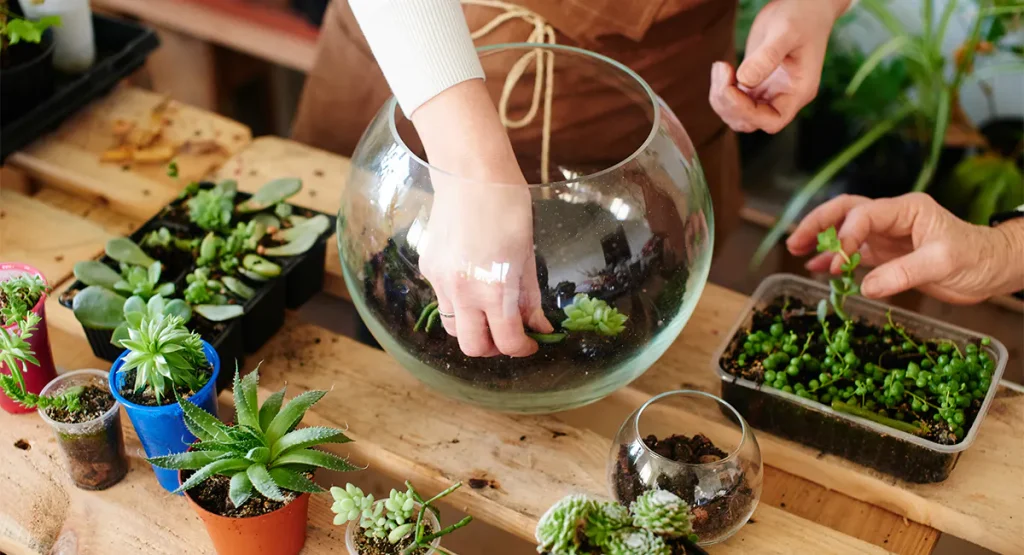 Terrarium Making