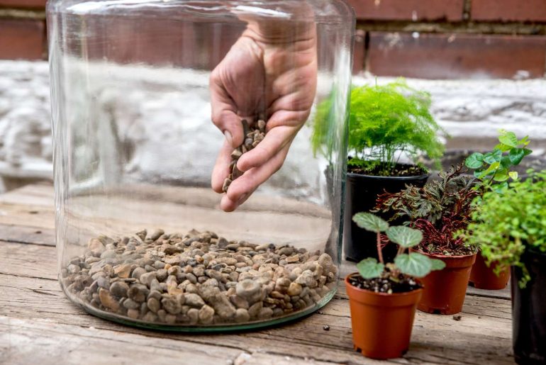 Terrarium Making